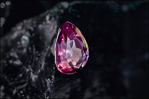 Tanishq's Rarest Jewels Light up Dubai