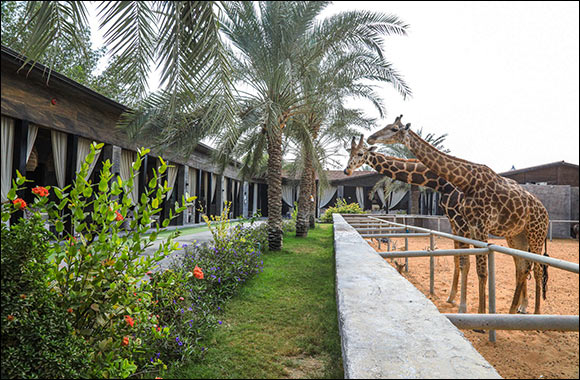 Embrace the Family Spirit of Ramadan with Exclusive Packages at Emirates Park Zoo and Resort