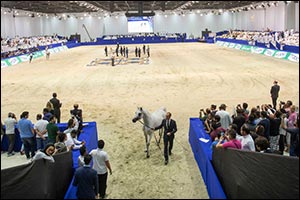 Dubai International Horse Fair 2022