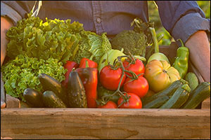 Middle East Natural and Organic Products Expo