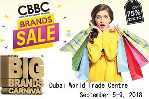 Concept Big Brands Sales 2018