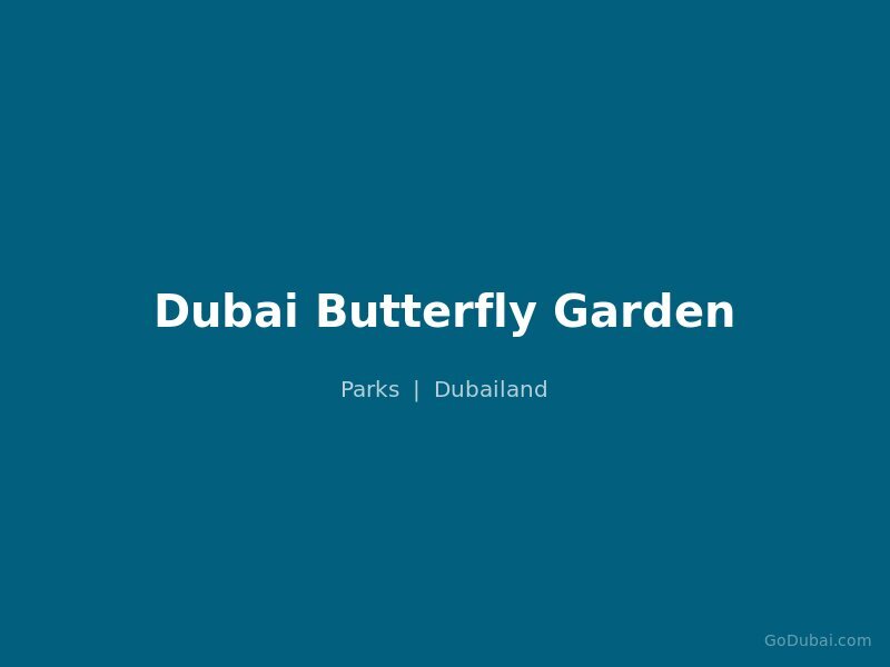 Dubai Butterfly Garden