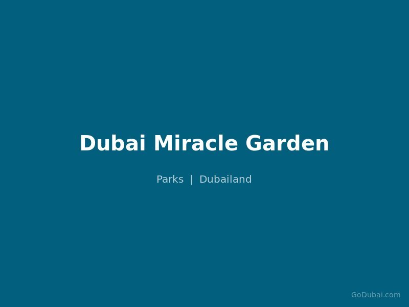 Dubai Miracle Garden