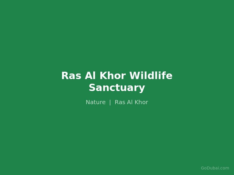 Ras Al Khor Wildlife Sanctuary