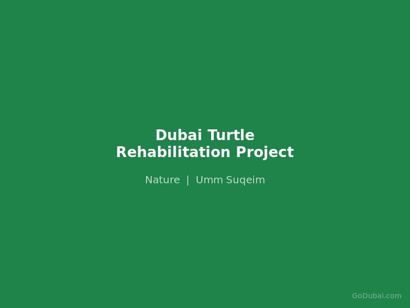 Dubai Turtle Rehabilitation Project
