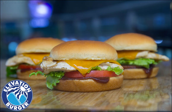 Elevation Burger Introduces Organic Chicken