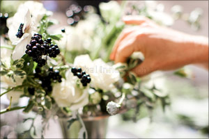 Talent blossoms as Marina Home Interiors and Bliss host Floristry masterclass with internationally acclaimed florist, Sarah Winward