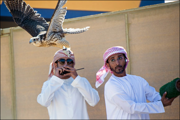 Fazza Championship for Falconry � Faroukh
