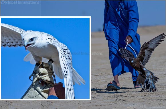 Fazza Championship for Falconry Telwah attracts 1000 participants on day 2& 3