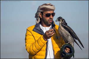 Renowned falconer steals the show with podium lockout at the Airplane finale of the Fazza Championship