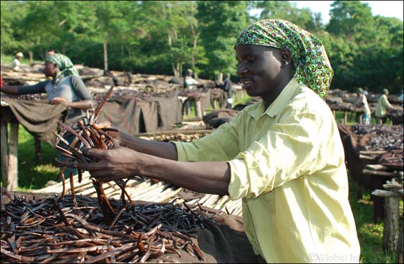 National Geographic Abu Dhabi kicks off 2016 grid