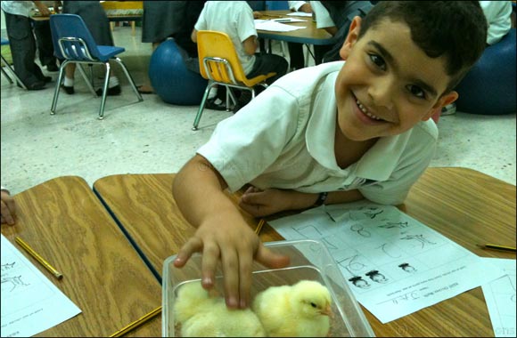 Al Rawdah brings farm life closer to Dubai schools