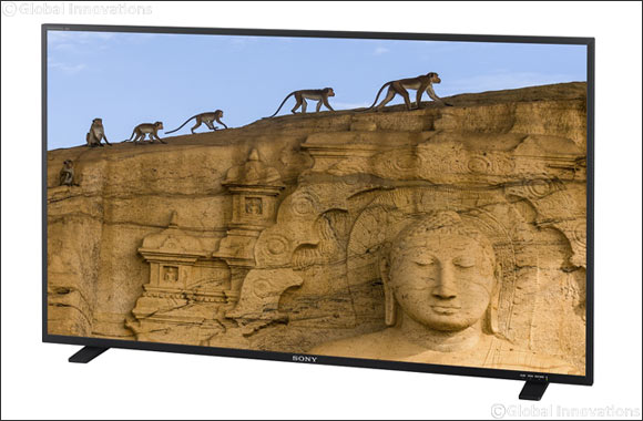 Sony introduces the PVM-X550, a 55� quad-view large screen TRIMASTER EL� 4K OLED monitor