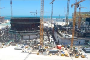 Completing Plant Testing: Fact Sheet