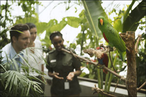 The Region's First Indoor Tropical Forest Opens Doors to Offer Unparalleld Sensory Experience