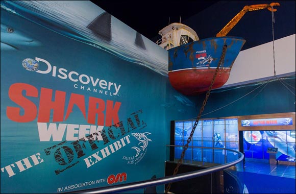 Interact with Robotic Sharks and Marvel at the New Transparent LED Screen only at Dubai Aquarium & Underwater Zoo