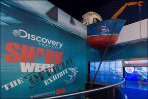 Interact with Robotic Sharks and Marvel at the New Transparent  LED Screen only at Dubai Aquarium & Underwater Zoo