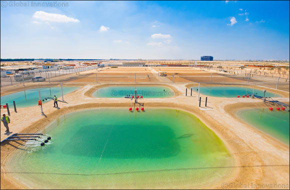 Masdar Institute's Sustainable Bioenergy Research Consortium to Host Seawater Energy and Agriculture Forum 2016 in Abu Dhabi