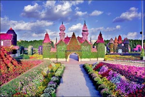 Dubai Miracle Garden all set to �bloom� ahead of a dramatic winter opening