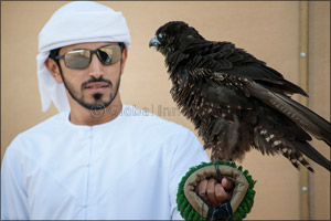 Team F3 records fastest time on first day of National Day Falconry Championship