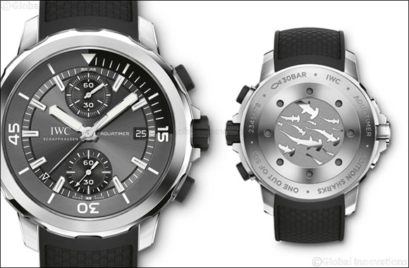 The Aquatimer gets up close with the predators of the seas