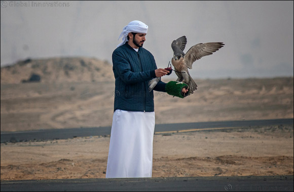 MRM Falcon and F3 fastest as Fazza Championship for Falconry Tilwah kicks off with RC Airplane competition
