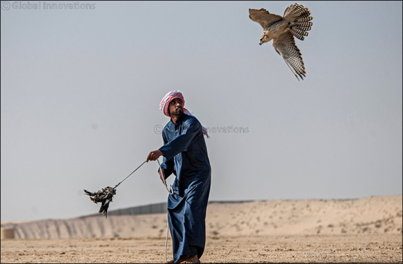 MRM Falcons and F3 shatter records on third day of Fazza Championship for Falconry Tilwah
