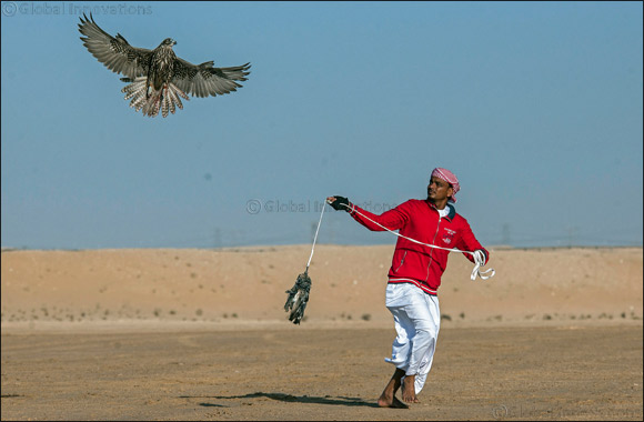 Zabeel team impress on debut in Fazza Championship for Falconry Tilwah