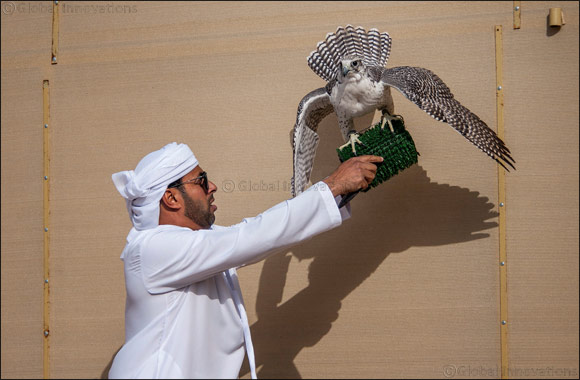 Sheikh Hamdan awards win to runner-up after �Ghaith' dazzles in Fazza Championship for Falconry Tilwah