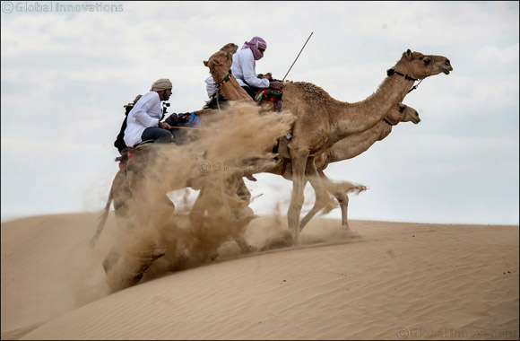 Convoy fit and ready to embark on �Camel Trek' in the desert of the UAE
