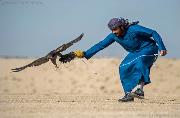 Flying start for F3 falconers in Fazza Championship for Falconry Tilwah �Fakhr Al Ajyal'
