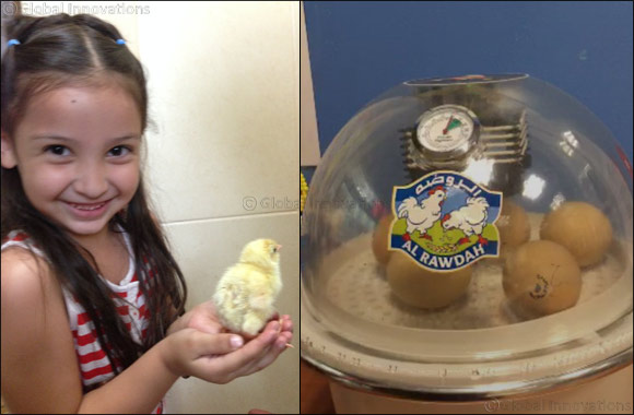 Al Rawdah brings farm life closer to Dubai schools for third year running