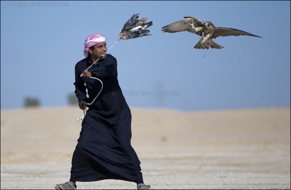 Registration Opens for the Fazza Championships for Falconry 2018