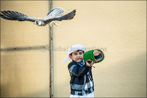 Juniors light up Fazza Championship for Falconry - Telwah