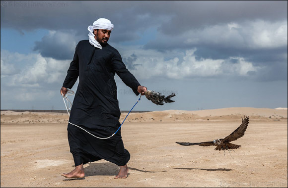 Dubai-based Briton makes waves on debut in Fazza Championship for Falconry  Telwah