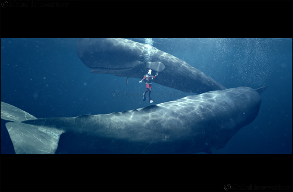 Flying to more countries and international destinations than any other airline, Turkish Airlines invites you on a journey of discovery with its �Five Senses� campaign.