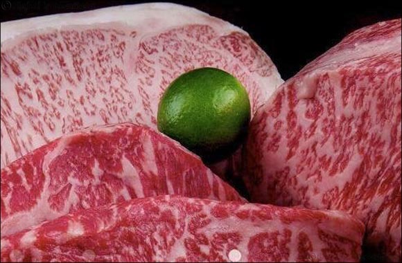 Middle East Fuji LLC exhibits the Gold medalist of Japanese branded Kobe Beef at Gulf Food