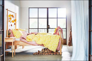 L4 Collection Launch