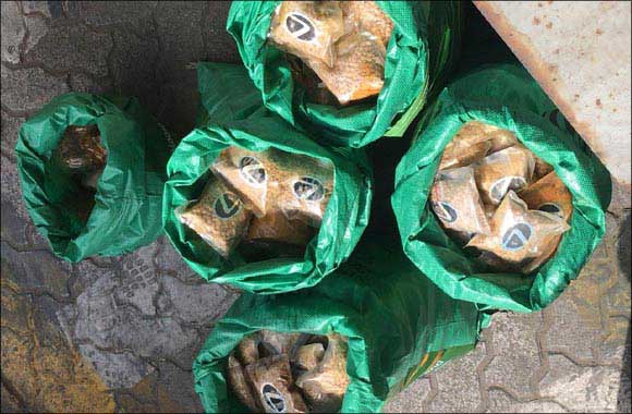 Dubai Customs seizes 800,000 Captagon pills in Port of Jebel Ali