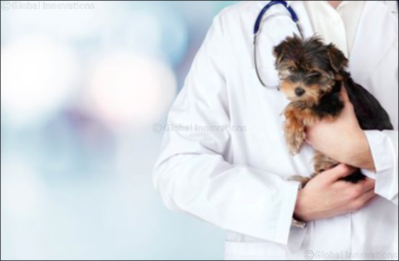 Biosecurity and Hygiene are the Prime Factors to Combat Diseases