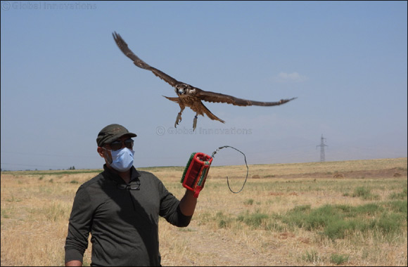 Sheikh Zayed Falcon Release Programme Marks its 25th Year with a New Milestone