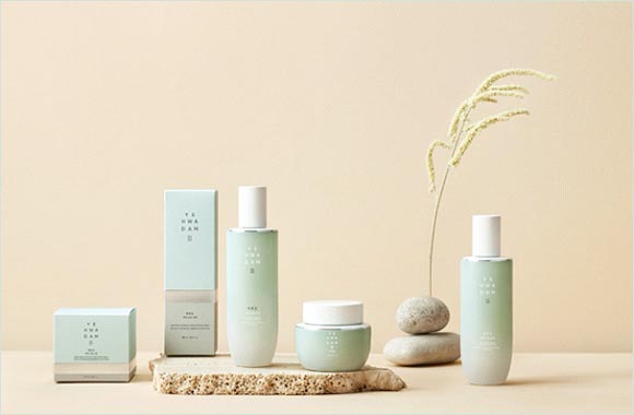 The Ultimate Natural Hydration Skincare Line is Here! � the Face Shop Yehwadam Artemisia!