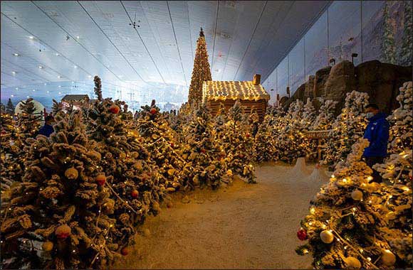 Ski Dubai and VOX Cinemas to launch the Middle East's first Cinema in the Snow