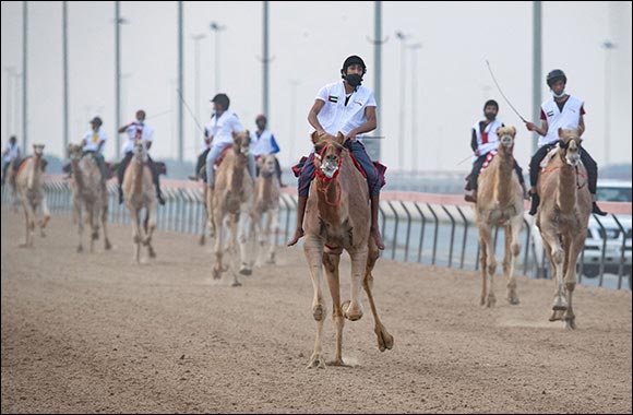 Emiratis Al Shamsi and Yahya Al Ketbi Dominate 2nd Preliminary Race of National Day Camel Marathon