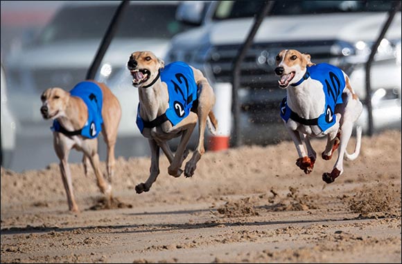 Qualifying Races for Saluki Championship 2021