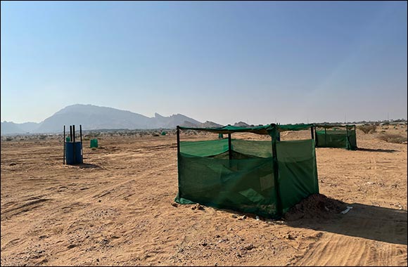 The Environment Agency - Abu Dhabi Begins Planting Al-Sarh Trees Within Their Natural Habitats in Abu Dhabi