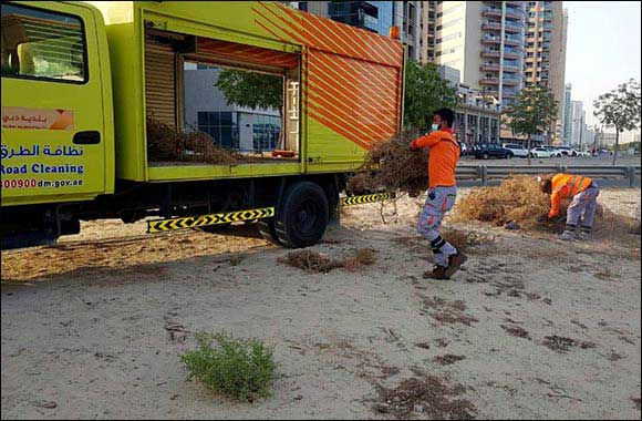 Dubai Municipality Carries Out Campaign to Clean Main Roads