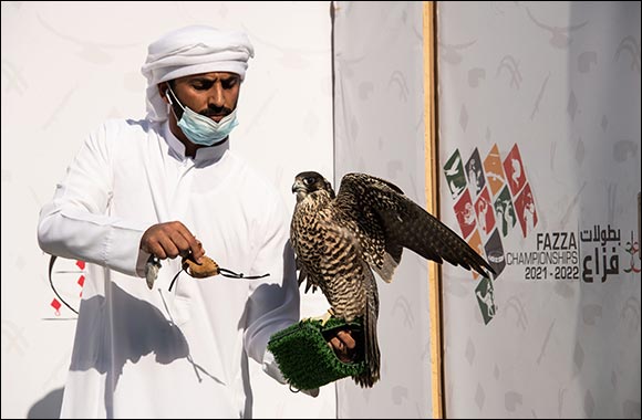 200 Birds Race on Day 1 of Fazza Championship for Falconry in Dubai