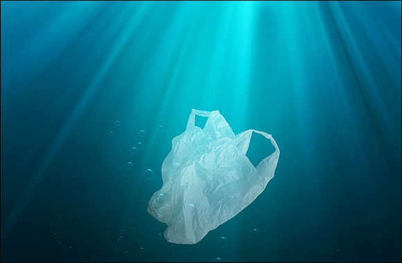 The Environment Agency  Abu Dhabi Announces Ban on Single-Use Plastic Bags from June 2022