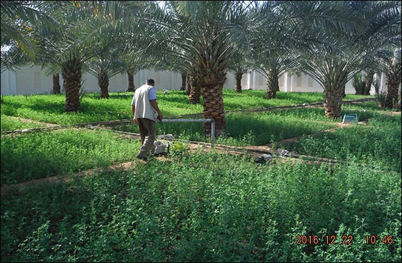 Environment Agency  Abu Dhabi Announces 2021 Achievements for the Protection of Groundwater